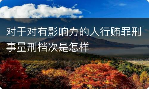 对于对有影响力的人行贿罪刑事量刑档次是怎样