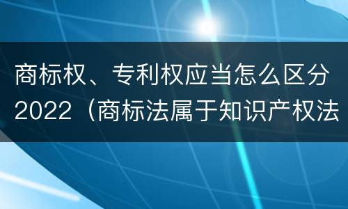 商标权、专利权应当怎么区分2022（商标法属于知识产权法）