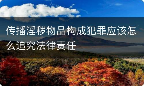 传播淫秽物品构成犯罪应该怎么追究法律责任