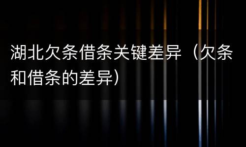 湖北欠条借条关键差异（欠条和借条的差异）