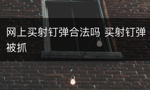网上买射钉弹合法吗 买射钉弹被抓
