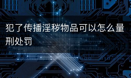 犯了传播淫秽物品可以怎么量刑处罚
