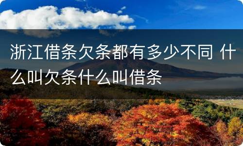 浙江借条欠条都有多少不同 什么叫欠条什么叫借条