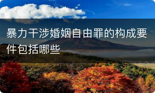 暴力干涉婚姻自由罪的构成要件包括哪些