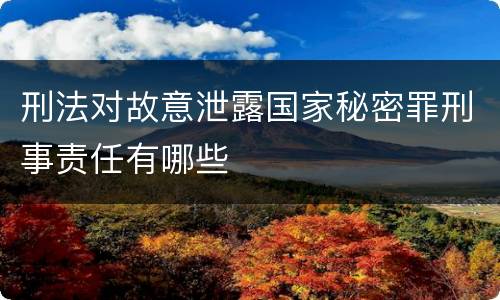 刑法对故意泄露国家秘密罪刑事责任有哪些