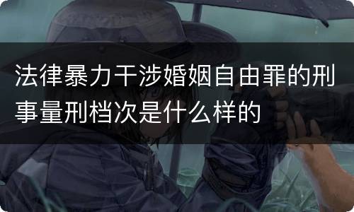 法律暴力干涉婚姻自由罪的刑事量刑档次是什么样的