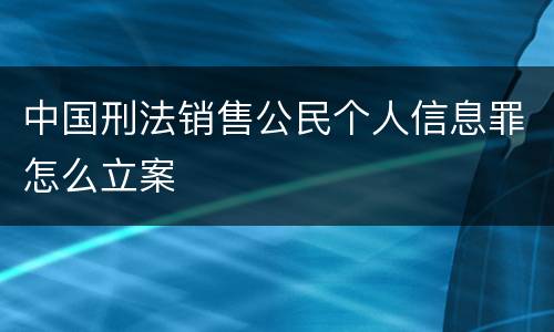 中国刑法销售公民个人信息罪怎么立案