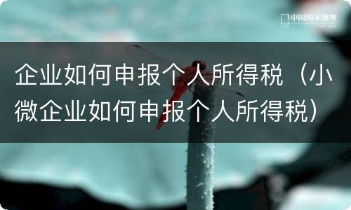 企业如何申报个人所得税（小微企业如何申报个人所得税）