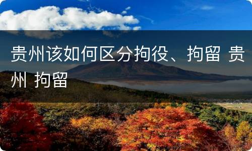 贵州该如何区分拘役、拘留 贵州 拘留