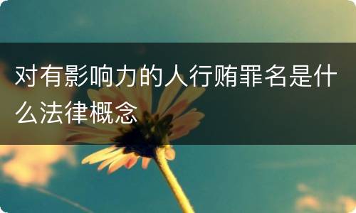 对有影响力的人行贿罪名是什么法律概念