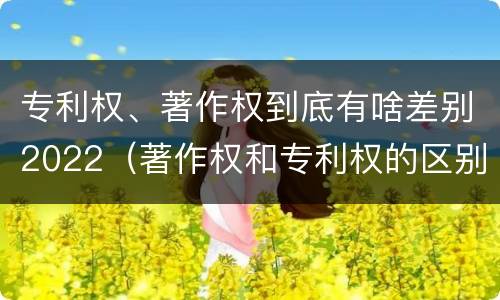 专利权、著作权到底有啥差别2022（著作权和专利权的区别）