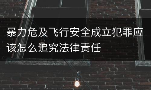 暴力危及飞行安全成立犯罪应该怎么追究法律责任