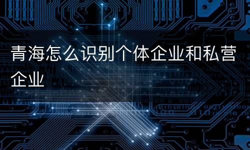青海怎么识别个体企业和私营企业