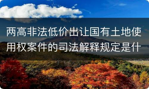 两高非法低价出让国有土地使用权案件的司法解释规定是什么