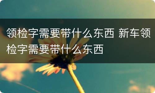 领检字需要带什么东西 新车领检字需要带什么东西