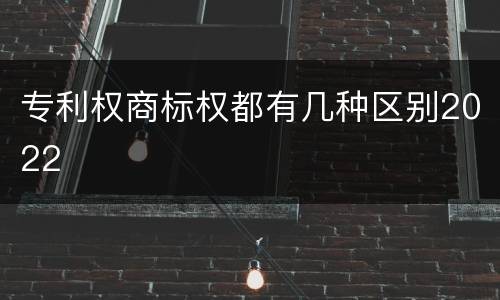 专利权商标权都有几种区别2022