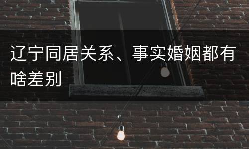 辽宁同居关系、事实婚姻都有啥差别