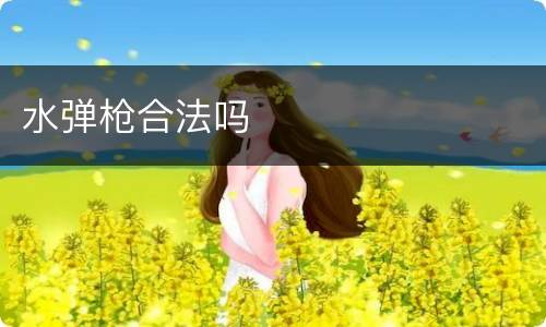 水弹枪合法吗