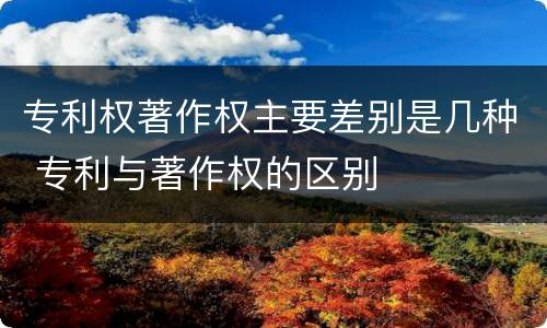 专利权著作权主要差别是几种 专利与著作权的区别