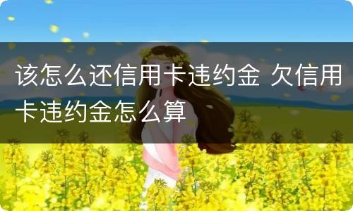 该怎么还信用卡违约金 欠信用卡违约金怎么算