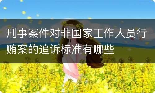 刑事案件对非国家工作人员行贿案的追诉标准有哪些