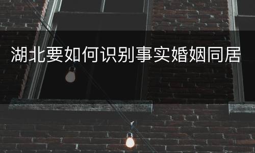 湖北要如何识别事实婚姻同居
