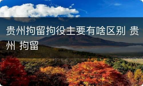 贵州拘留拘役主要有啥区别 贵州 拘留