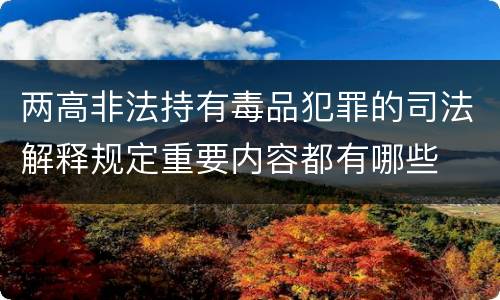 两高非法持有毒品犯罪的司法解释规定重要内容都有哪些