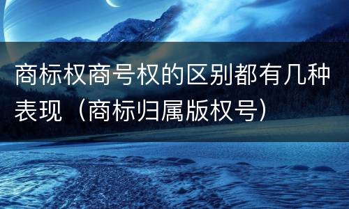 商标权商号权的区别都有几种表现（商标归属版权号）