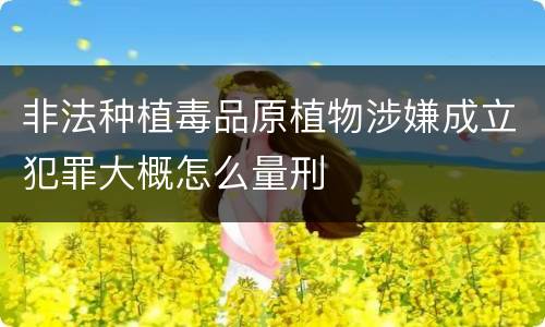 非法种植毒品原植物涉嫌成立犯罪大概怎么量刑