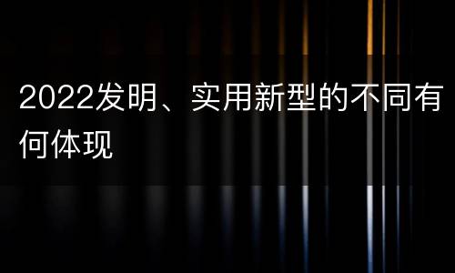 2022发明、实用新型的不同有何体现