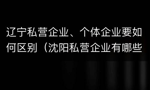 辽宁私营企业、个体企业要如何区别（沈阳私营企业有哪些）