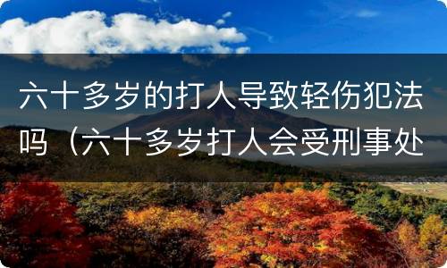 六十多岁的打人导致轻伤犯法吗（六十多岁打人会受刑事处罚吗）