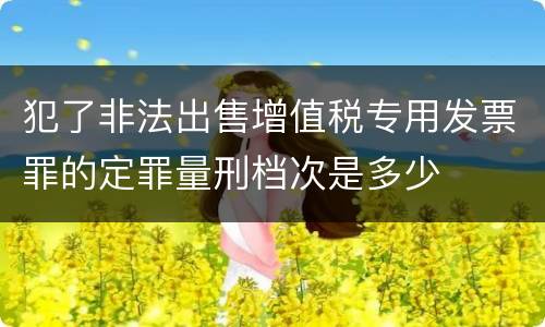 犯了非法出售增值税专用发票罪的定罪量刑档次是多少