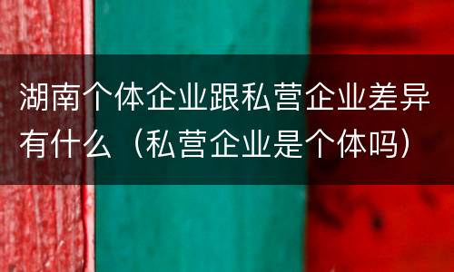湖南个体企业跟私营企业差异有什么（私营企业是个体吗）