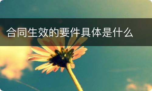 合同生效的要件具体是什么