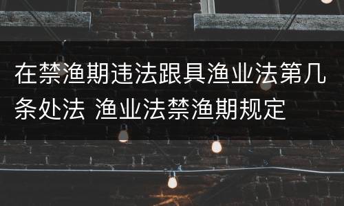 在禁渔期违法跟具渔业法第几条处法 渔业法禁渔期规定