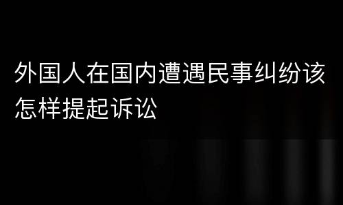 外国人在国内遭遇民事纠纷该怎样提起诉讼