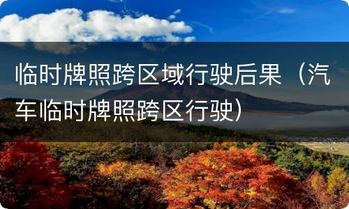 临时牌照跨区域行驶后果（汽车临时牌照跨区行驶）