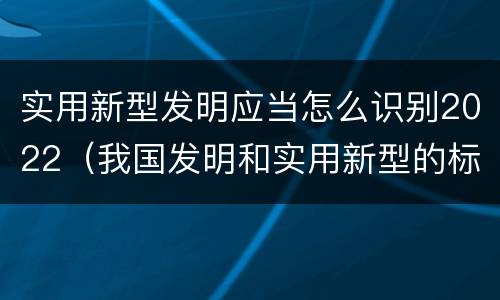 实用新型发明应当怎么识别2022（我国发明和实用新型的标准）