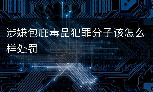 涉嫌包庇毒品犯罪分子该怎么样处罚