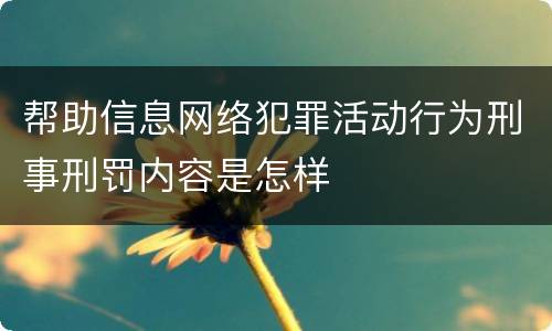 帮助信息网络犯罪活动行为刑事刑罚内容是怎样