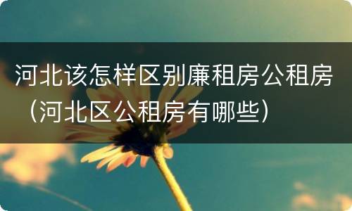 河北该怎样区别廉租房公租房（河北区公租房有哪些）