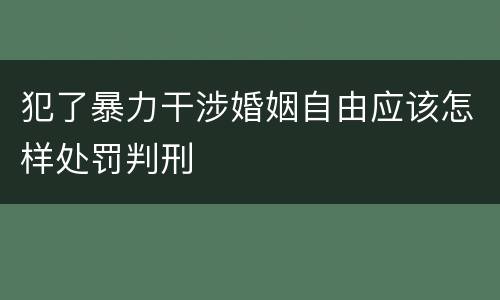 犯了暴力干涉婚姻自由应该怎样处罚判刑