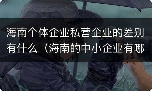 海南个体企业私营企业的差别有什么（海南的中小企业有哪些）