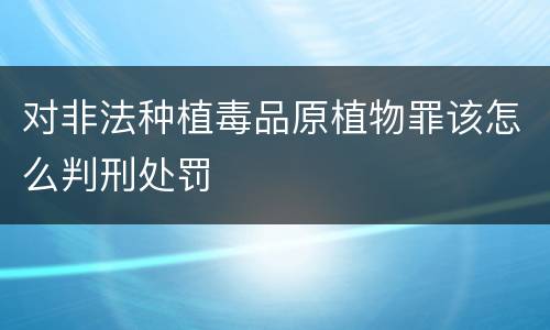 对非法种植毒品原植物罪该怎么判刑处罚