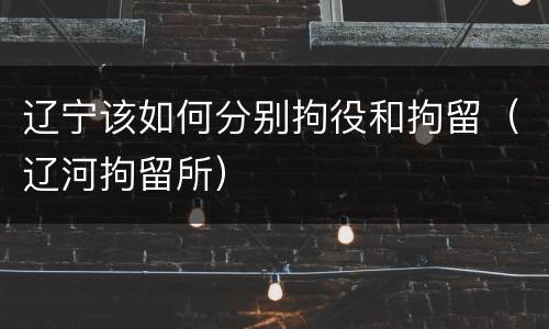 辽宁该如何分别拘役和拘留（辽河拘留所）