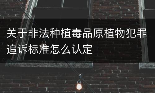 关于非法种植毒品原植物犯罪追诉标准怎么认定