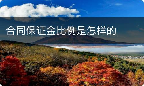 合同保证金比例是怎样的