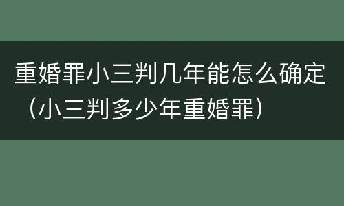重婚罪小三判几年能怎么确定（小三判多少年重婚罪）